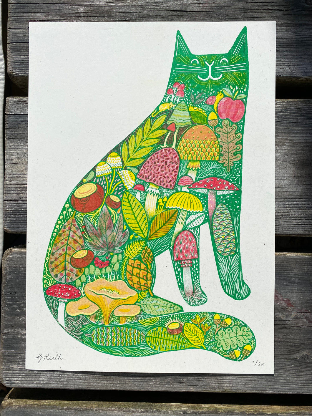 'Micelium' Cat riso print